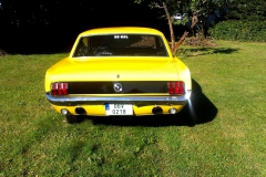 mustang (6)